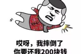 灯塔专业讨债公司有哪些核心服务？